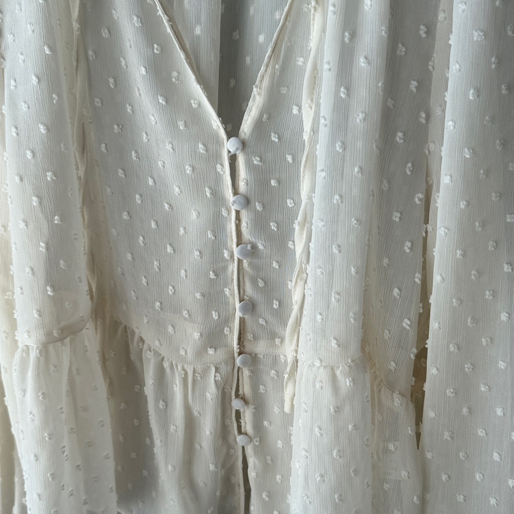 Zara Swiss Dot Sheer Button Down Blouse - Picture 6 of 11